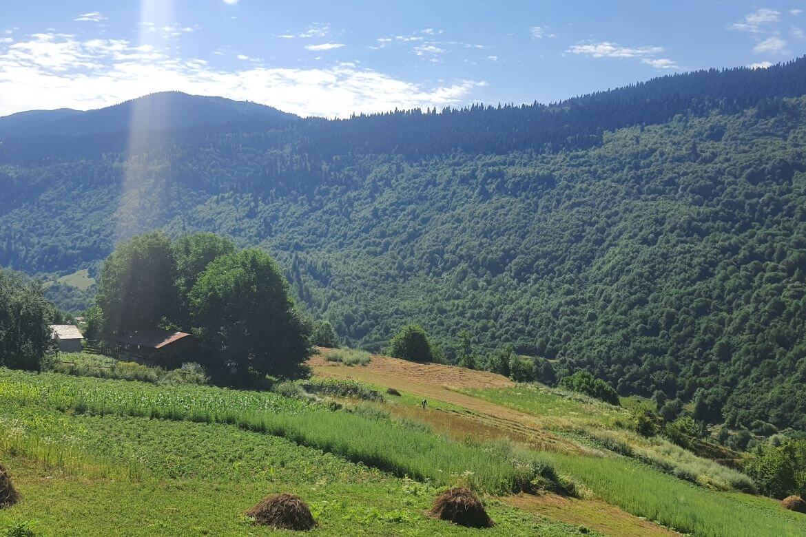 Mestia gezimizden geriye kalan